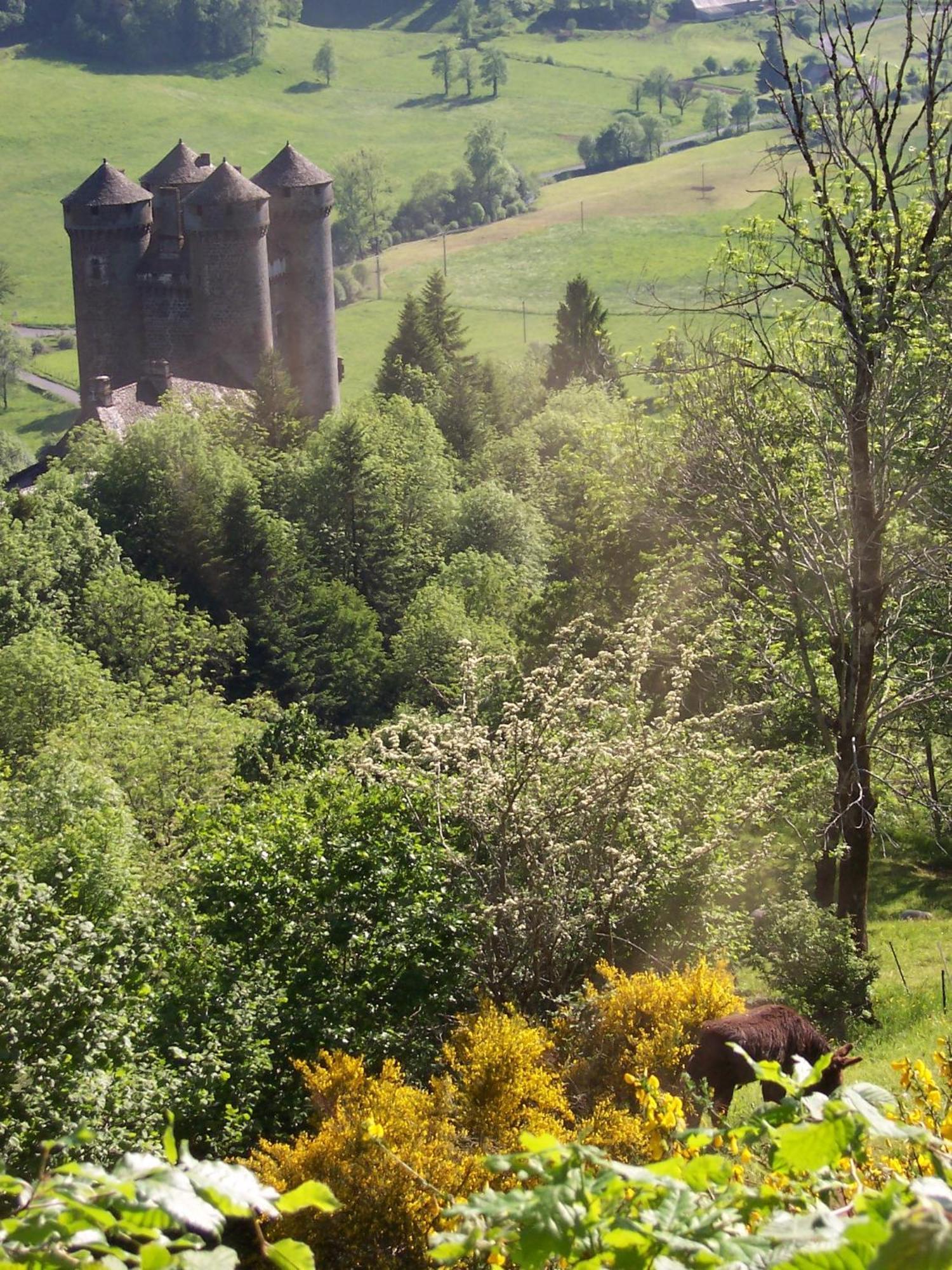 Auberge Hotel De Tournemire - Cantal Eksteriør bilde